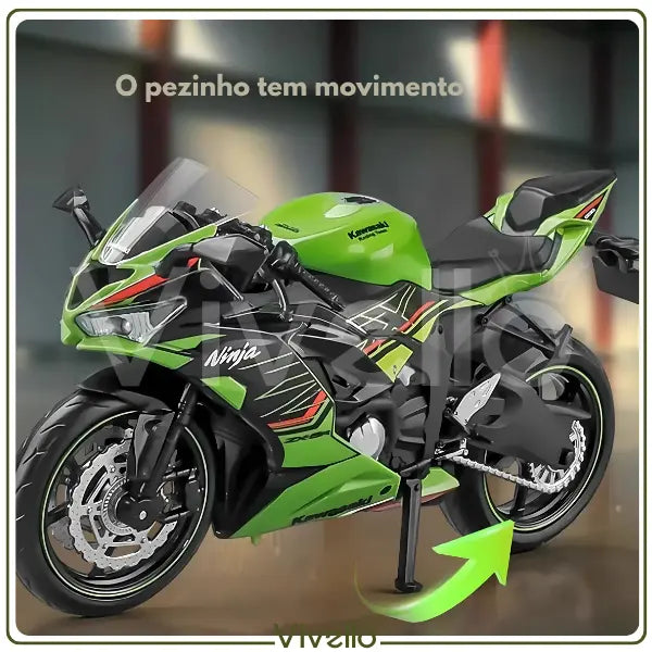 Kawasaki Ninja ZX-6R ThunderRide Colecionadores