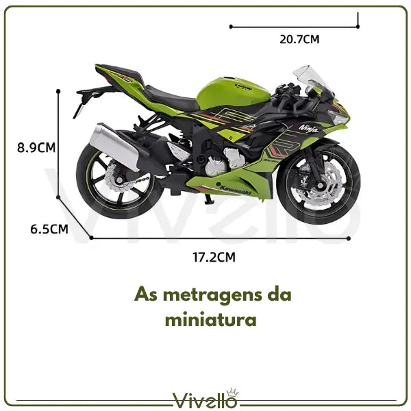 Kawasaki Ninja ZX-6R ThunderRide Colecionadores
