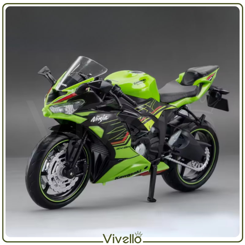 Kawasaki Ninja ZX-6R ThunderRide